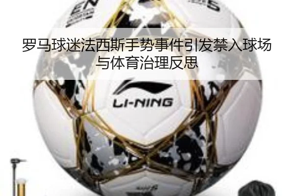 罗马球迷法西斯手势事件引发禁入球场与体育治理反思